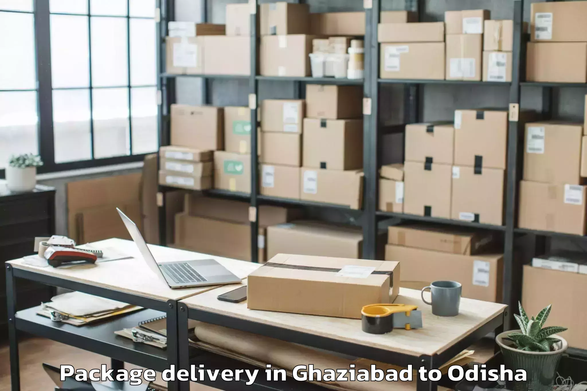 Reliable Ghaziabad to Golamunda Package Delivery